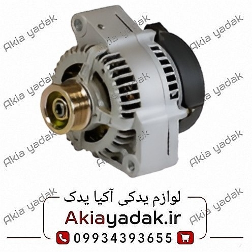 دینام شاهین