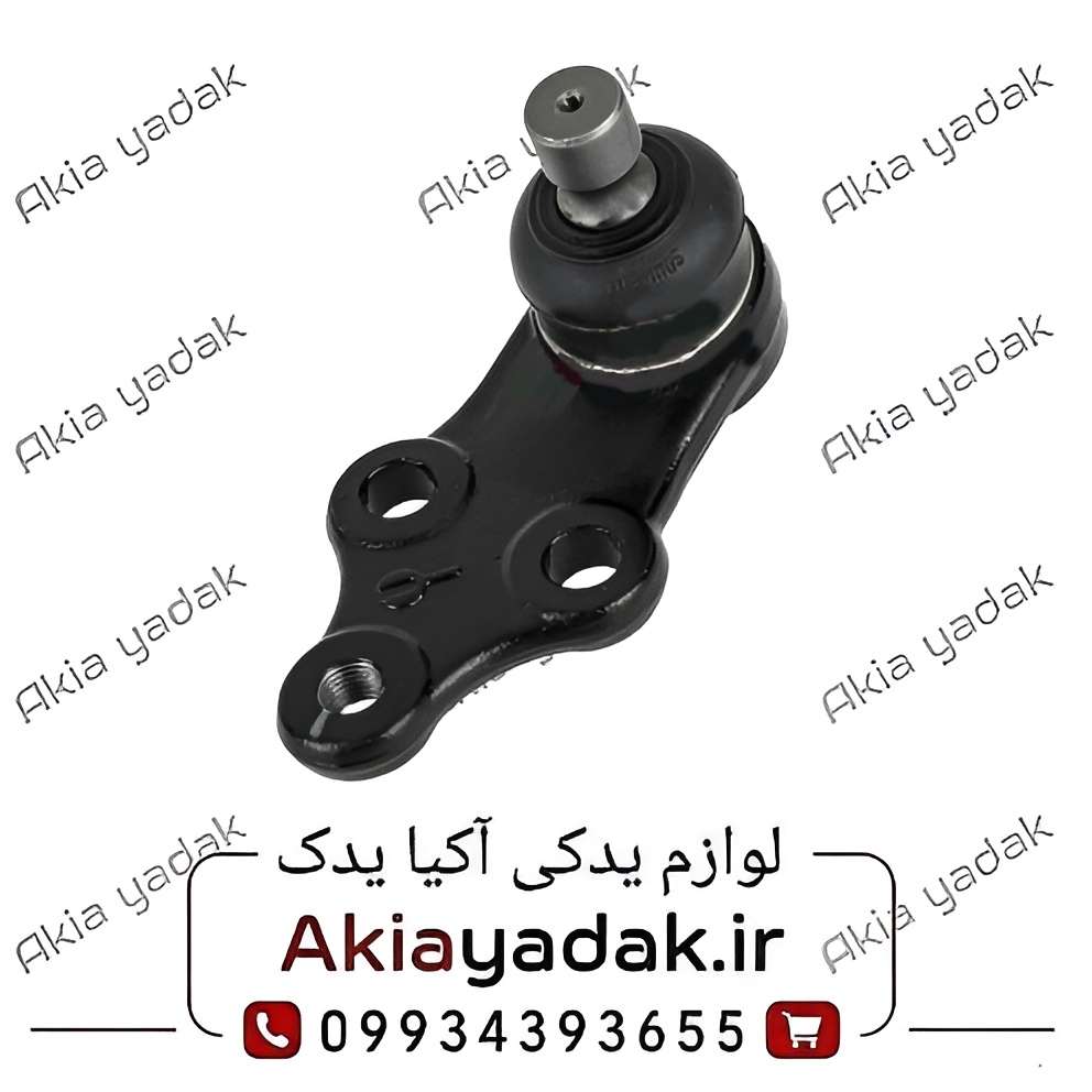 سیبک طبق شاهین