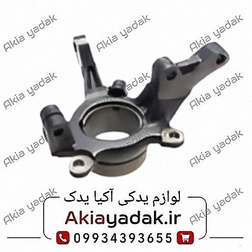 سگدست چپ شاهین