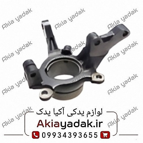 سگدست چپ شاهین