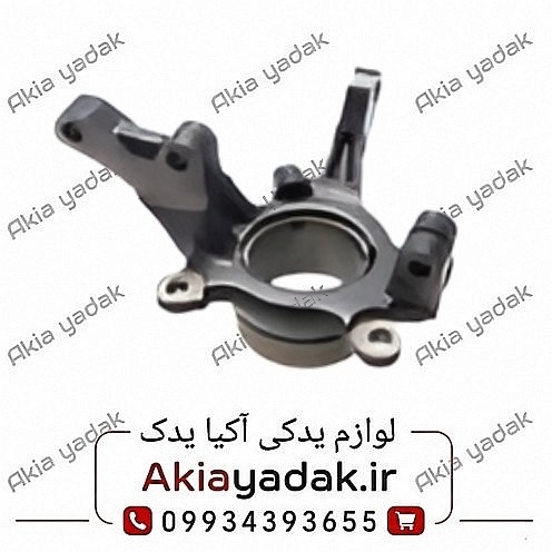 سگدست راست شاهین