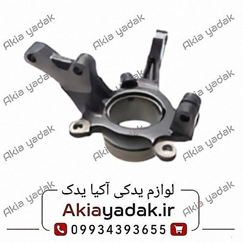 سگدست راست شاهین