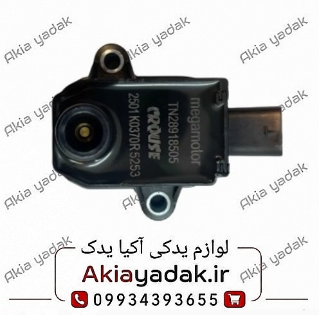 کوئل شاهین کروز