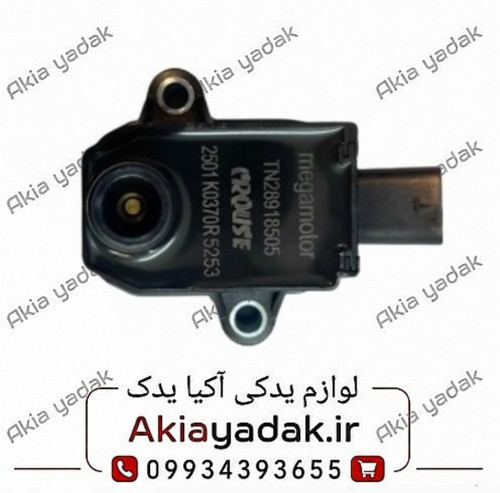 کوئل شاهین کروز