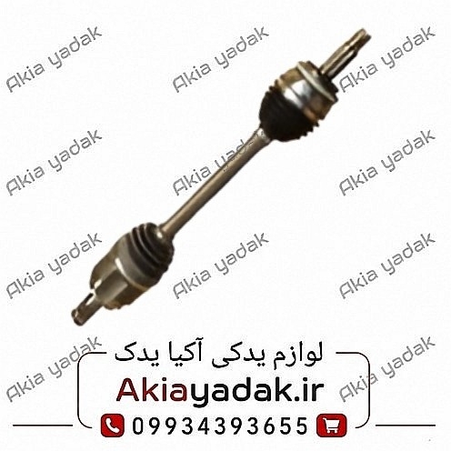 پلوس چپ کامل شاهین