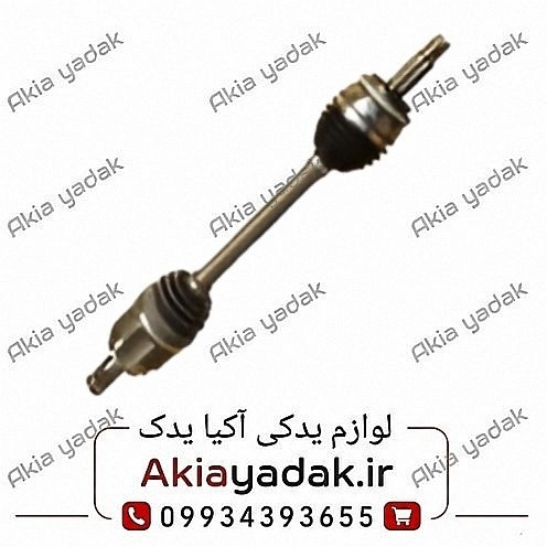 پلوس چپ کامل شاهین
