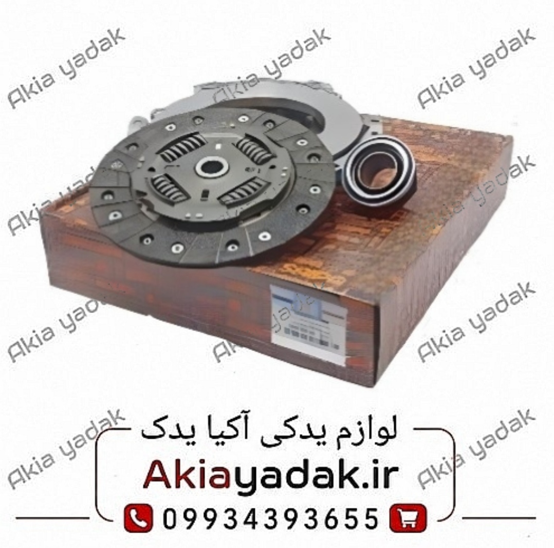 دیسک و صفحه شاهین شرکتی