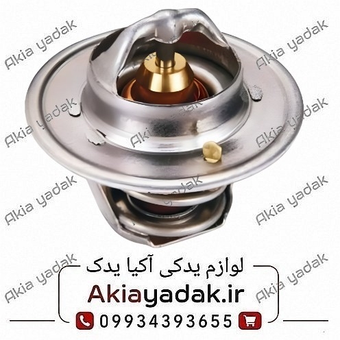 ترموستات آریو