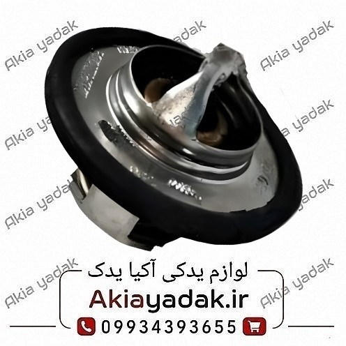 ترموستات ۸۳ درجه ساندرو اتومات اصلی